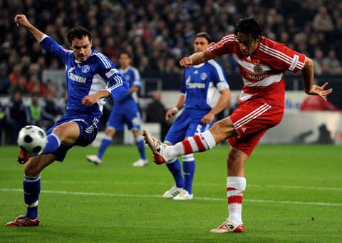 整个球队的 整个球队的